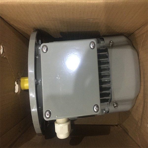 BRINKMANN沉水泵TGL331/290-MV+210